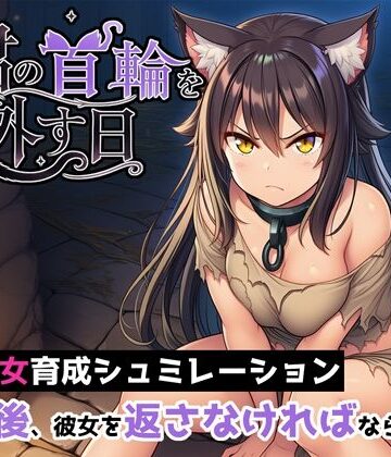 【ヒヒイロカネ密売所】君の首輪を外す日❤ネコミミ・獣系